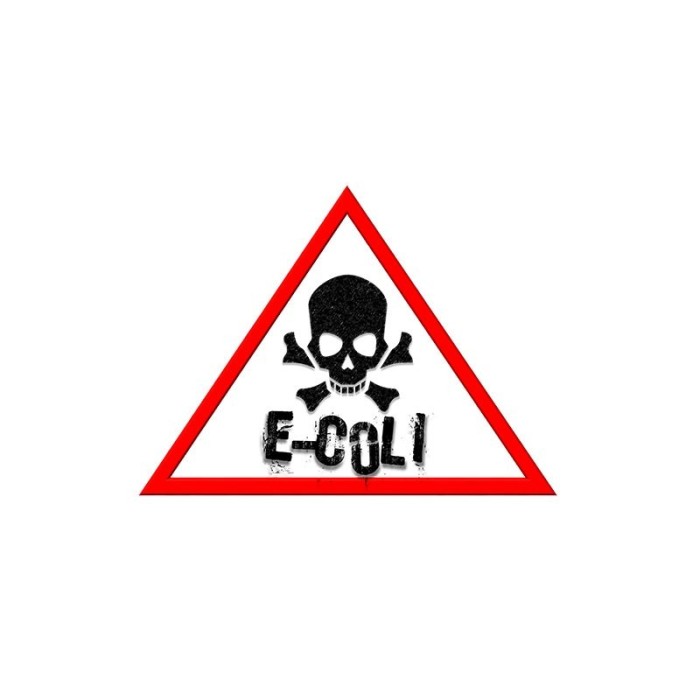 ¿Qué es la infección por E-Coli?