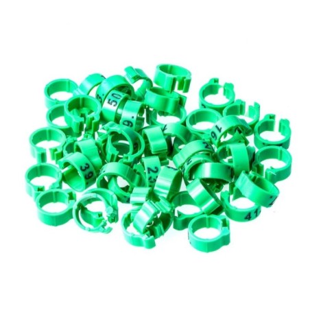 50 Anillas numeradas Ø5x8mm - Color Verde Manzana